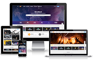 RiPro-V5数据表结构说明文档